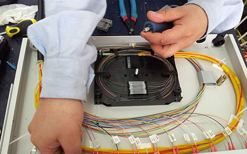 Fibra Optica bandeja