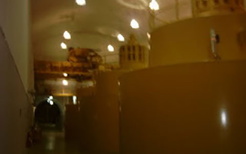 Hidroelectrica Calima